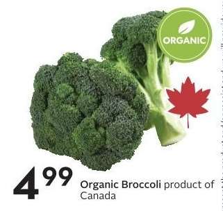 ORGANIC BROCCOLI