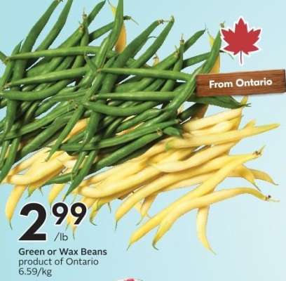 GREEN or WAX BEANS
