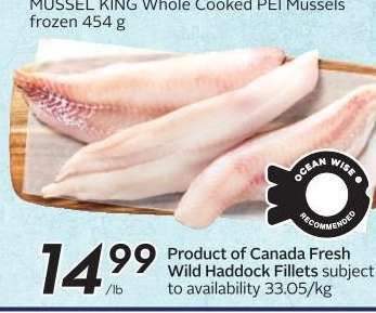 Fresh Wild Haddock Fillets