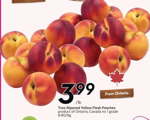 Tree-Ripened Yellow Flesh Peaches