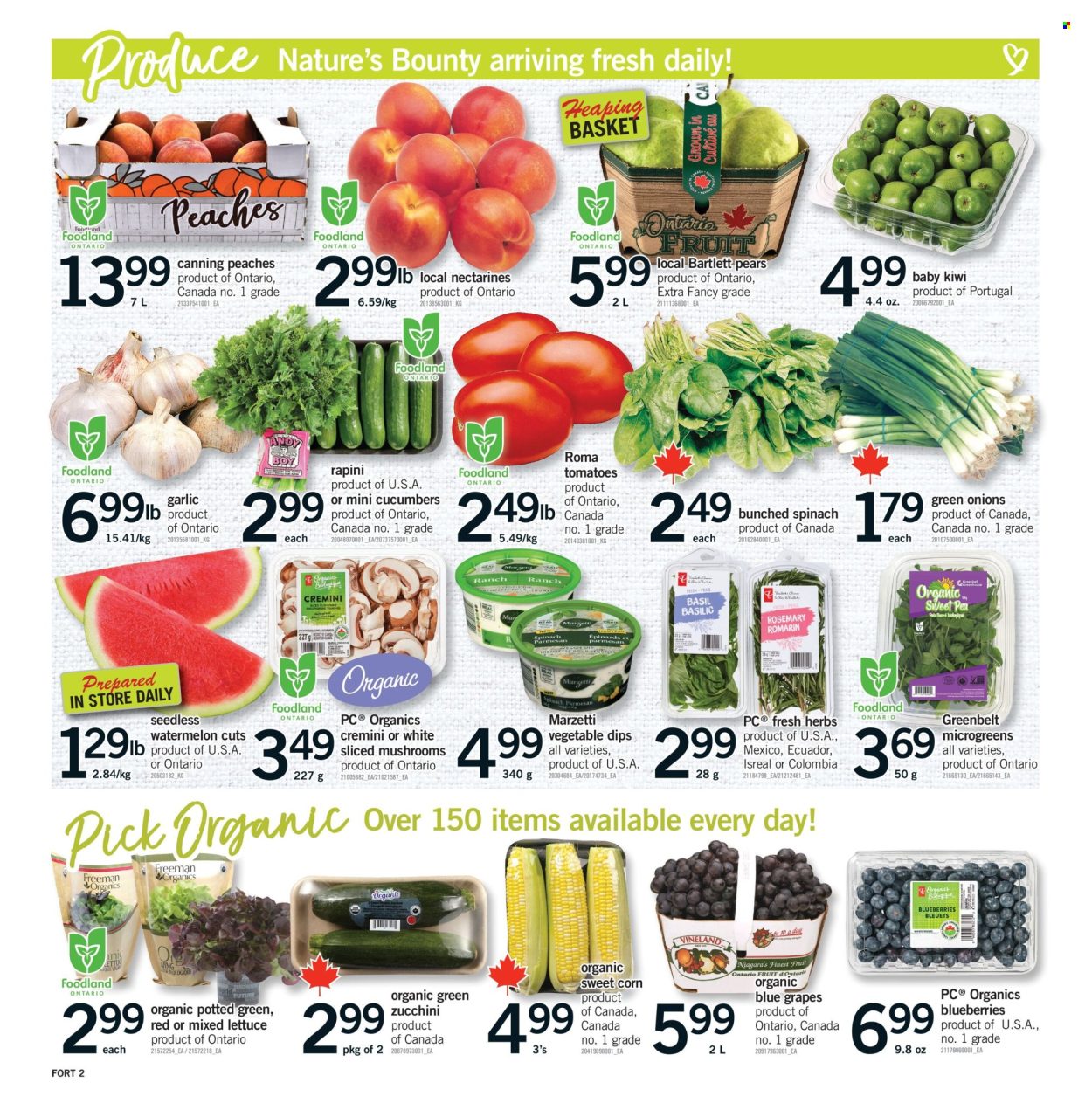 Fortinos flyer - August 20, 2026 - August 26, 2026. Page 3
