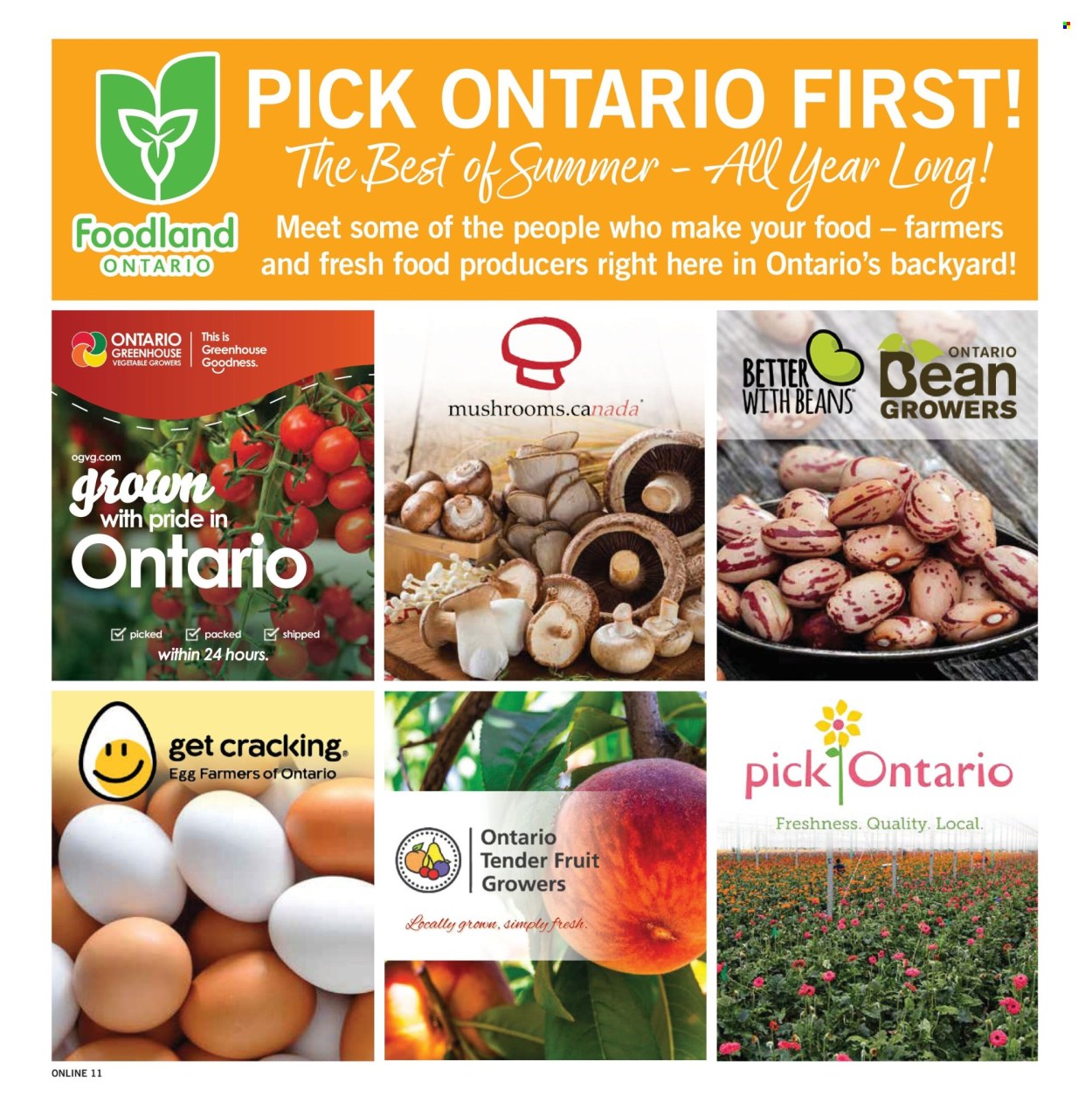 Fortinos flyer - August 20, 2026 - August 26, 2026. Page 11