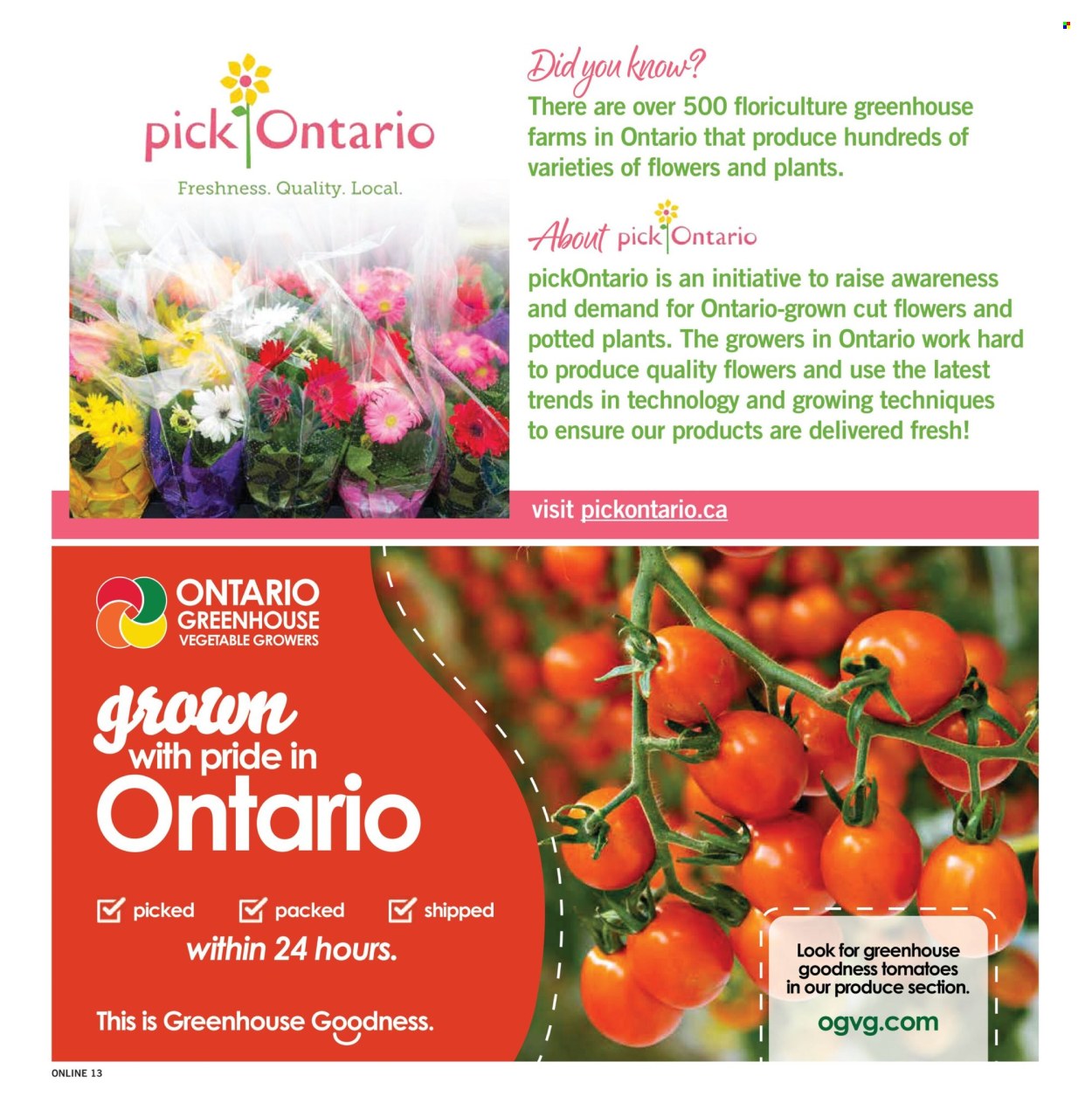 Fortinos flyer - August 20, 2026 - August 26, 2026. Page 13