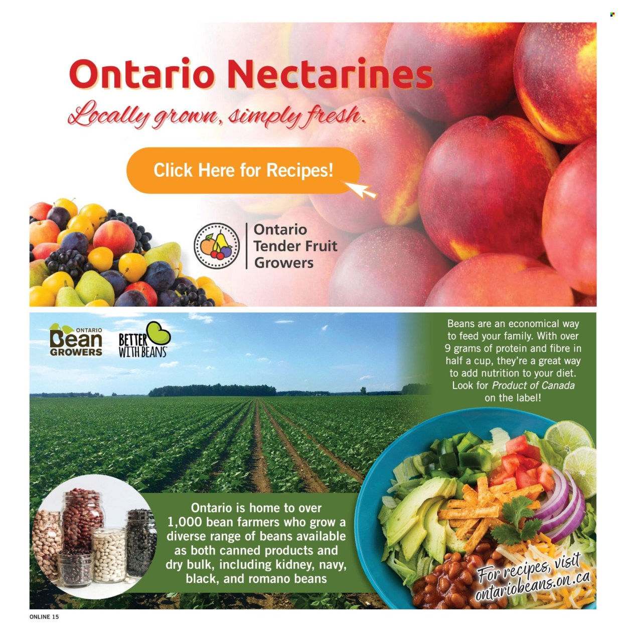 Fortinos flyer - August 20, 2026 - August 26, 2026. Page 15