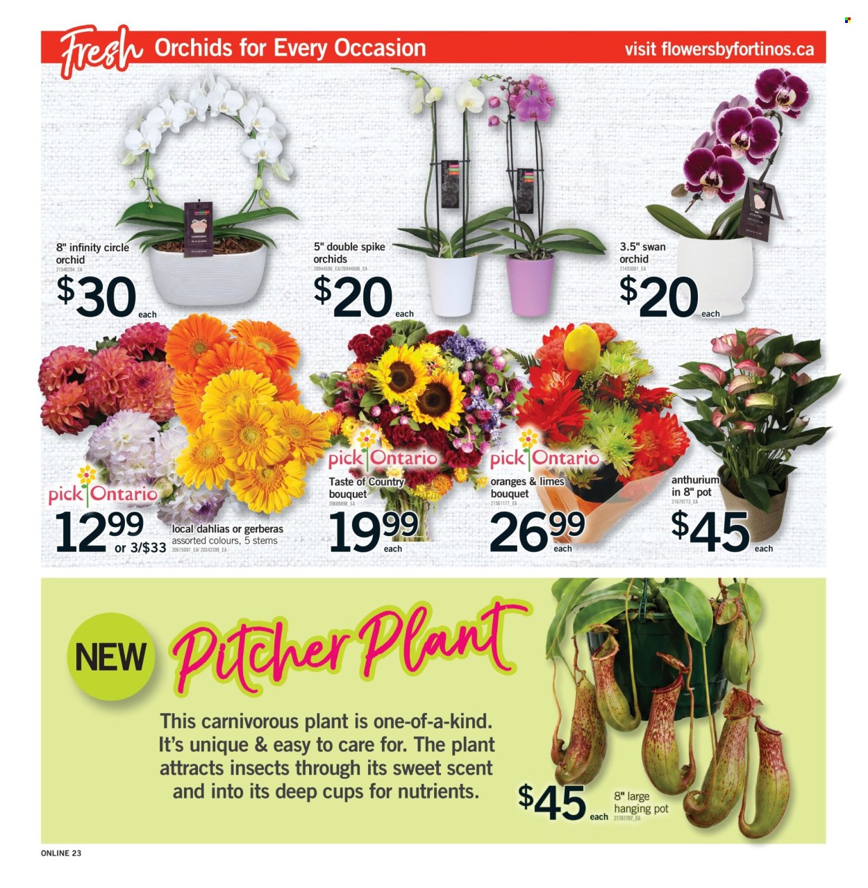 Fortinos flyer - August 20, 2026 - August 26, 2026. Page 23