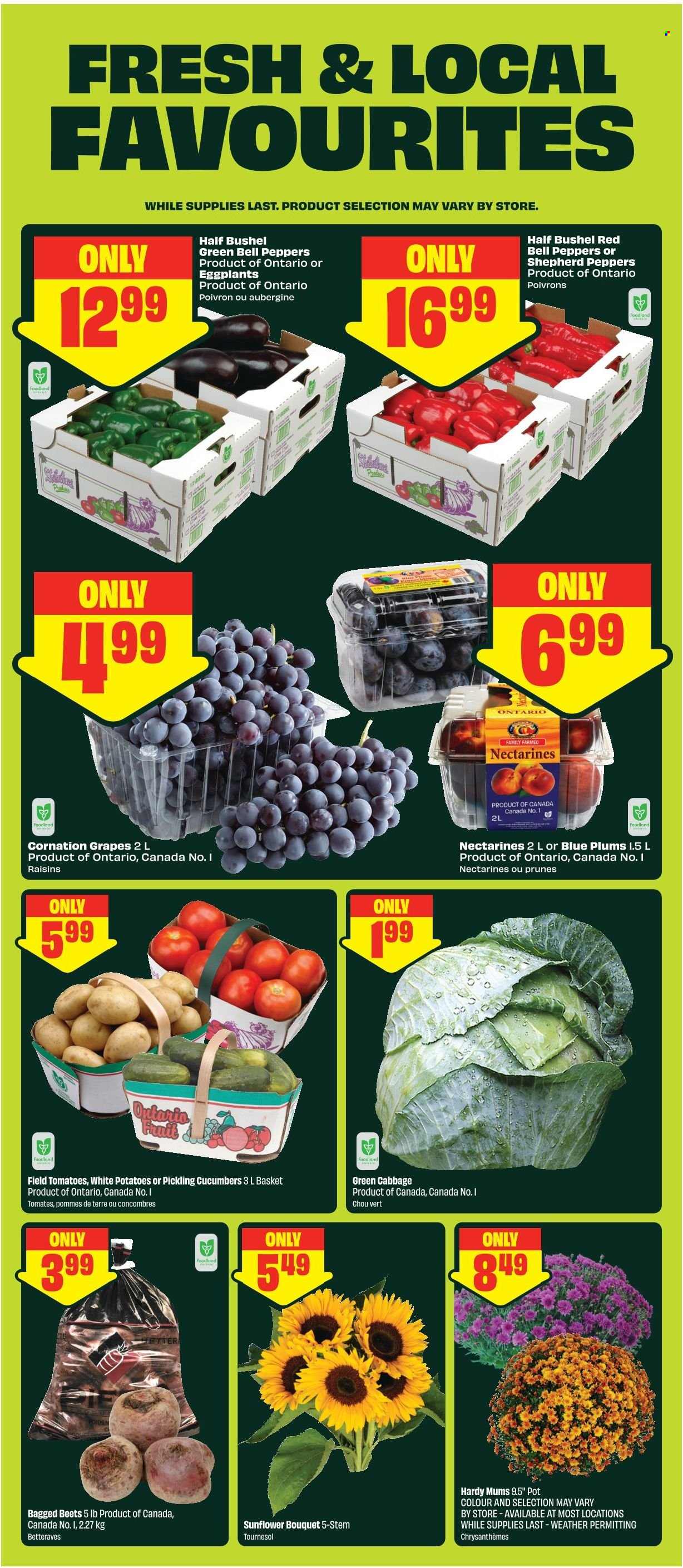 FreshCo. flyer - August 27, 2026 - September 02, 2026. Page 5