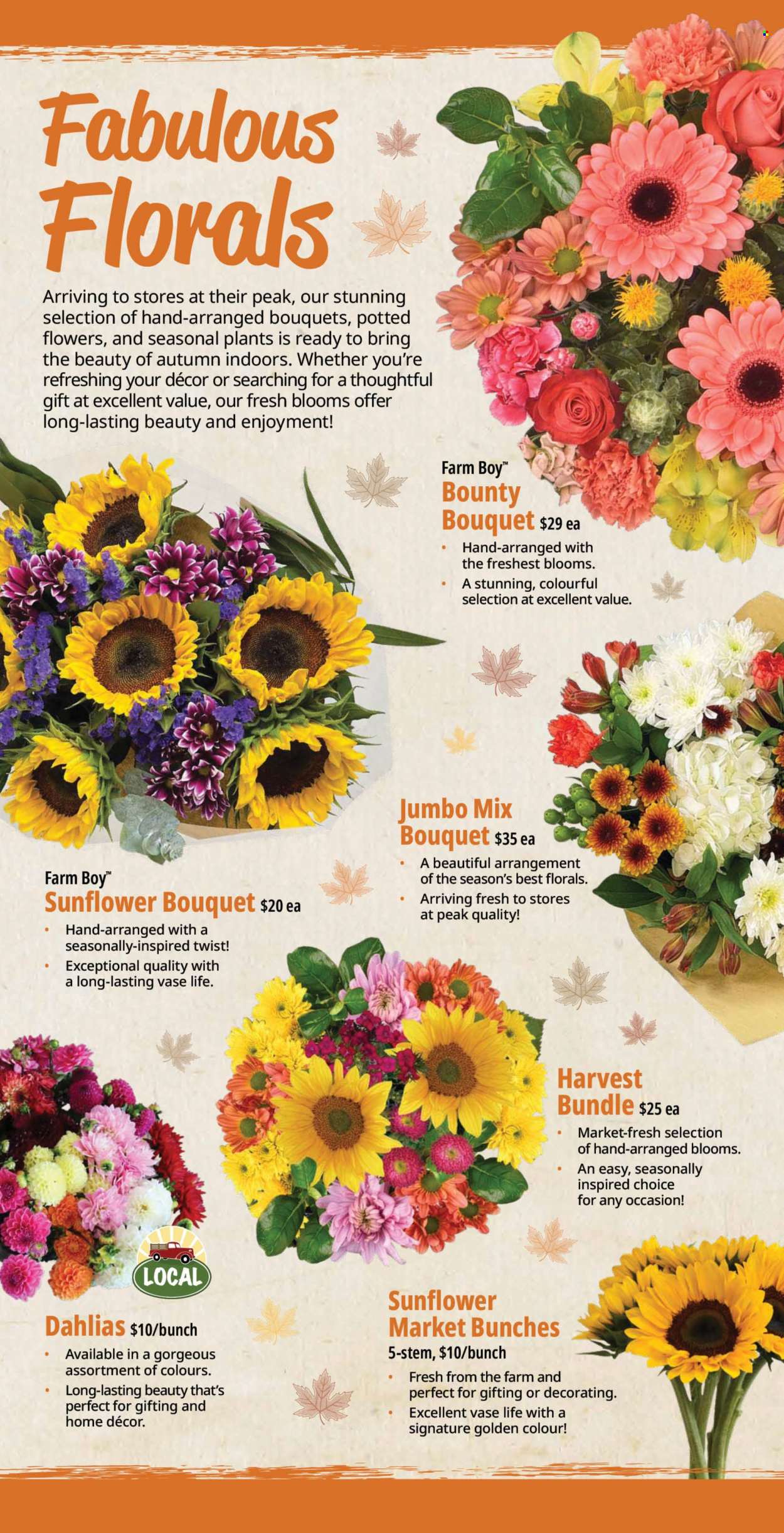 Farm Boy flyer - August 27, 2026 - September 02, 2026. Page 7
