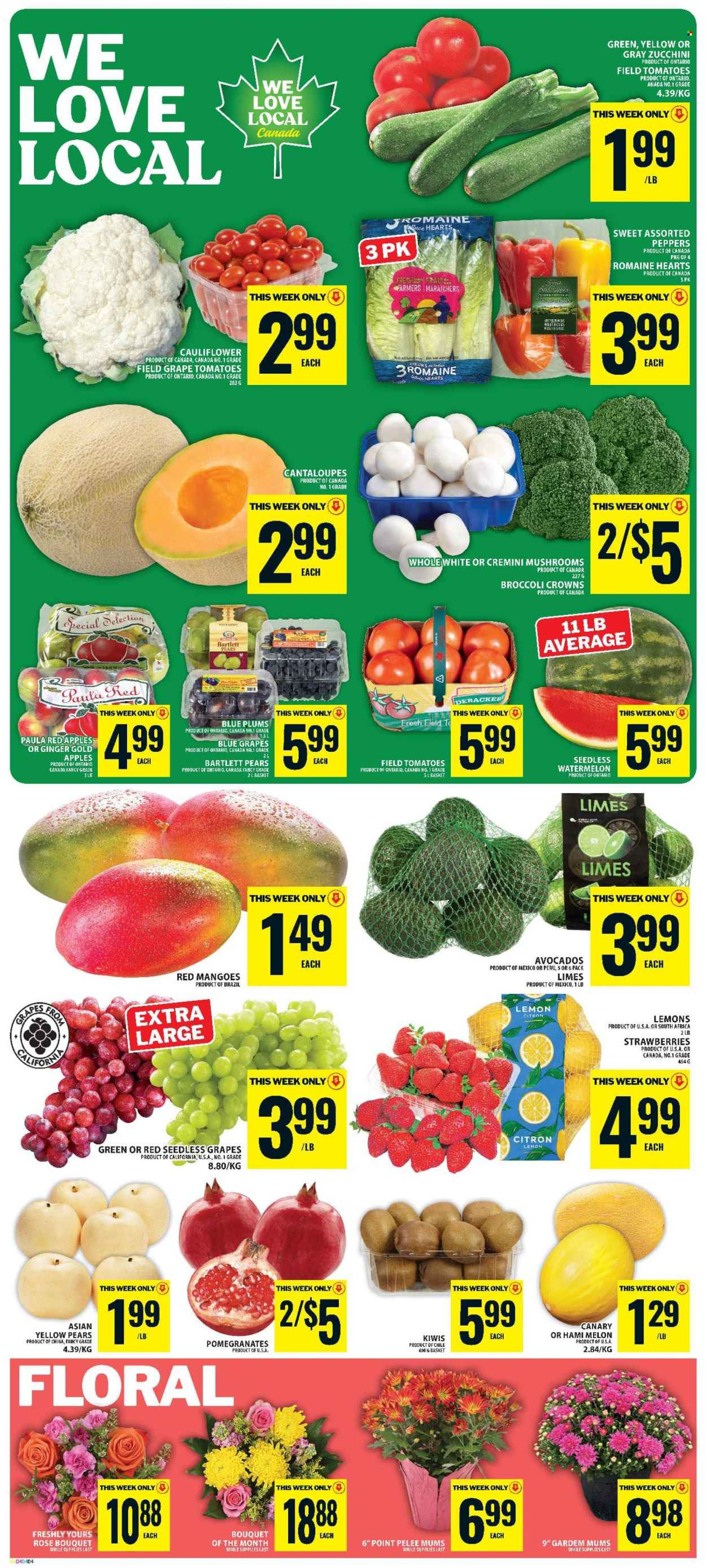 Food Basics flyer - September 03, 2026 - September 09, 2026. Page 6