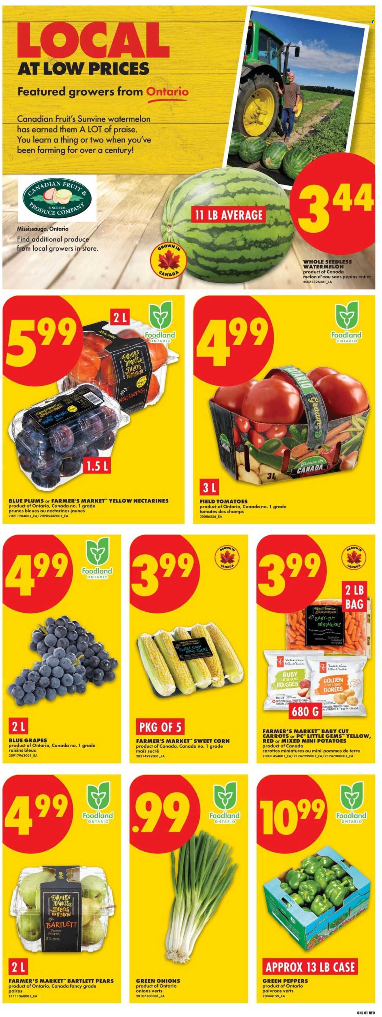 No Frills flyer - September 03, 2026 - September 09, 2026. Page 3