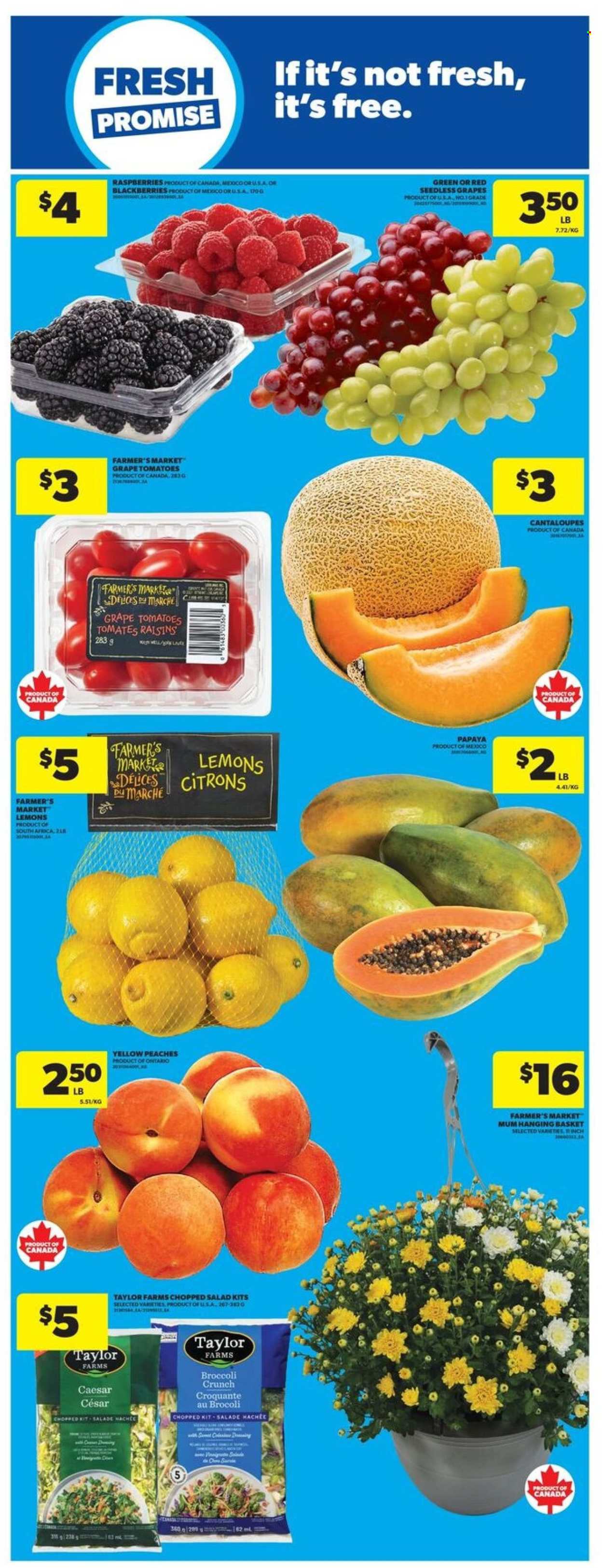 Real Canadian Superstore flyer - September 10, 2026 - September 16, 2026. Page 7