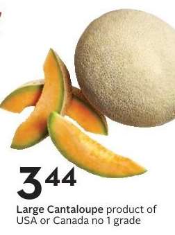 Large Cantaloupe