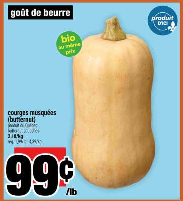 courges musquées (butternut)