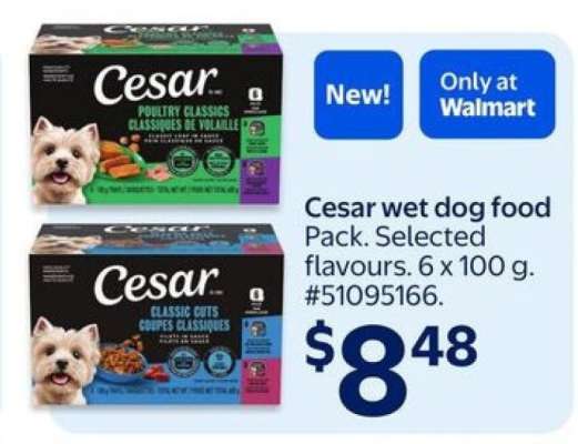 Cesar Wet Dog Food