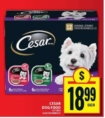 CESAR DOG FOOD