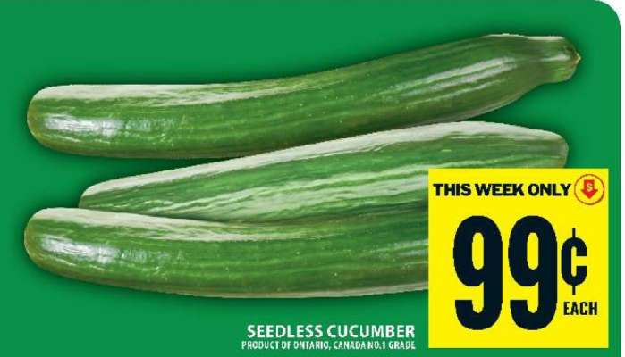 Seedless Cucumber