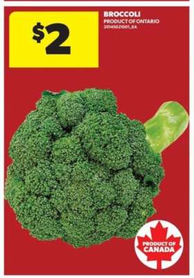 BROCCOLI