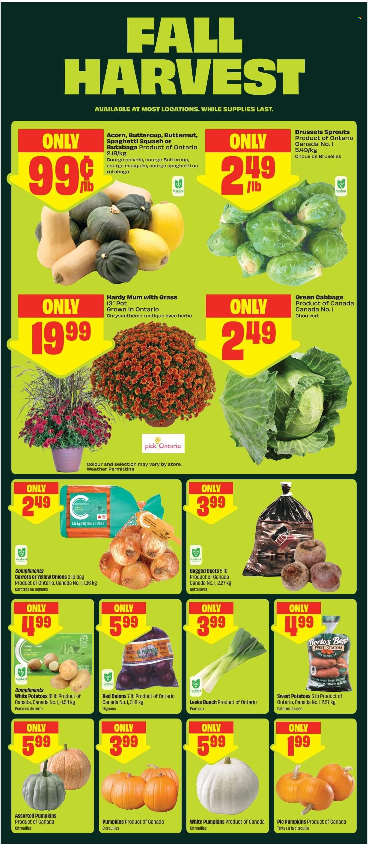 FreshCo. flyer - September 17, 2026 - September 23, 2026. Page 5