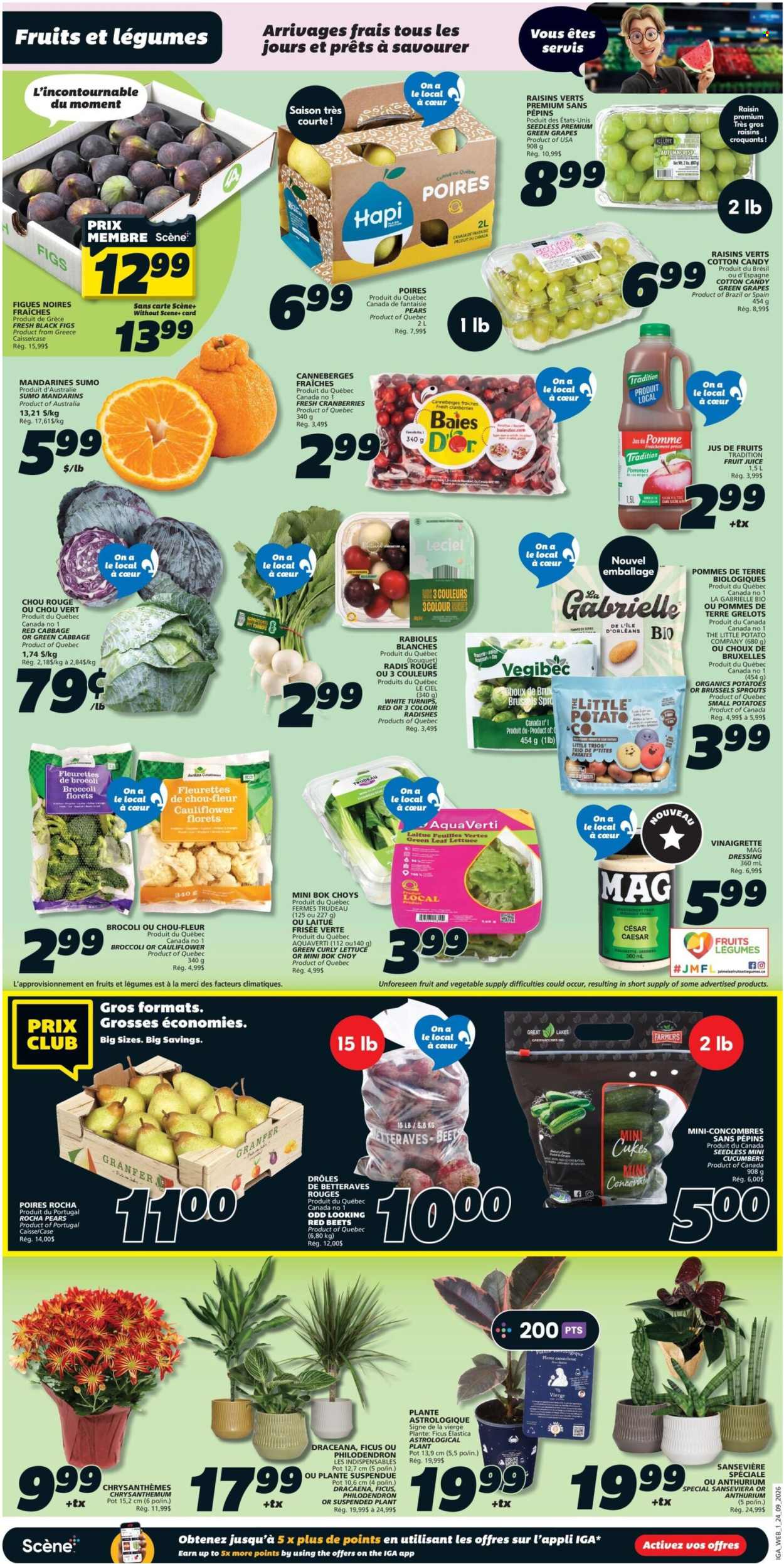 IGA flyer - September 24, 2026 - September 30, 2026. Page 3