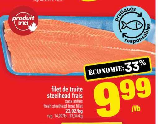 FILET DE TRUITE STEELHEAD FRAIS