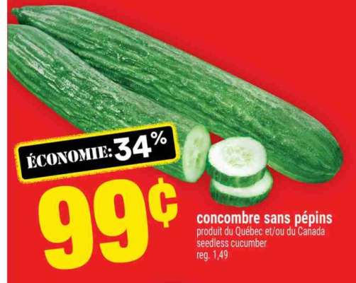 CONCOMBRE SANS PÉPINS