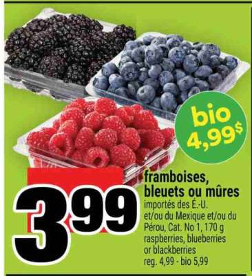 framboises, bleuets ou mûres