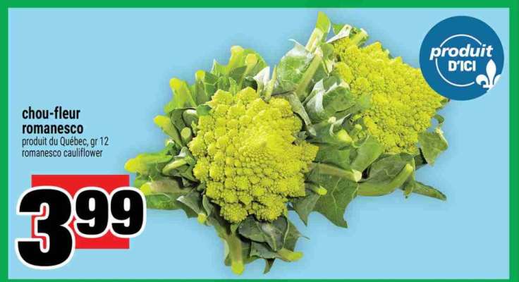 chou-fleur romanesco