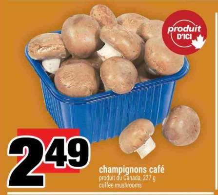champignons café