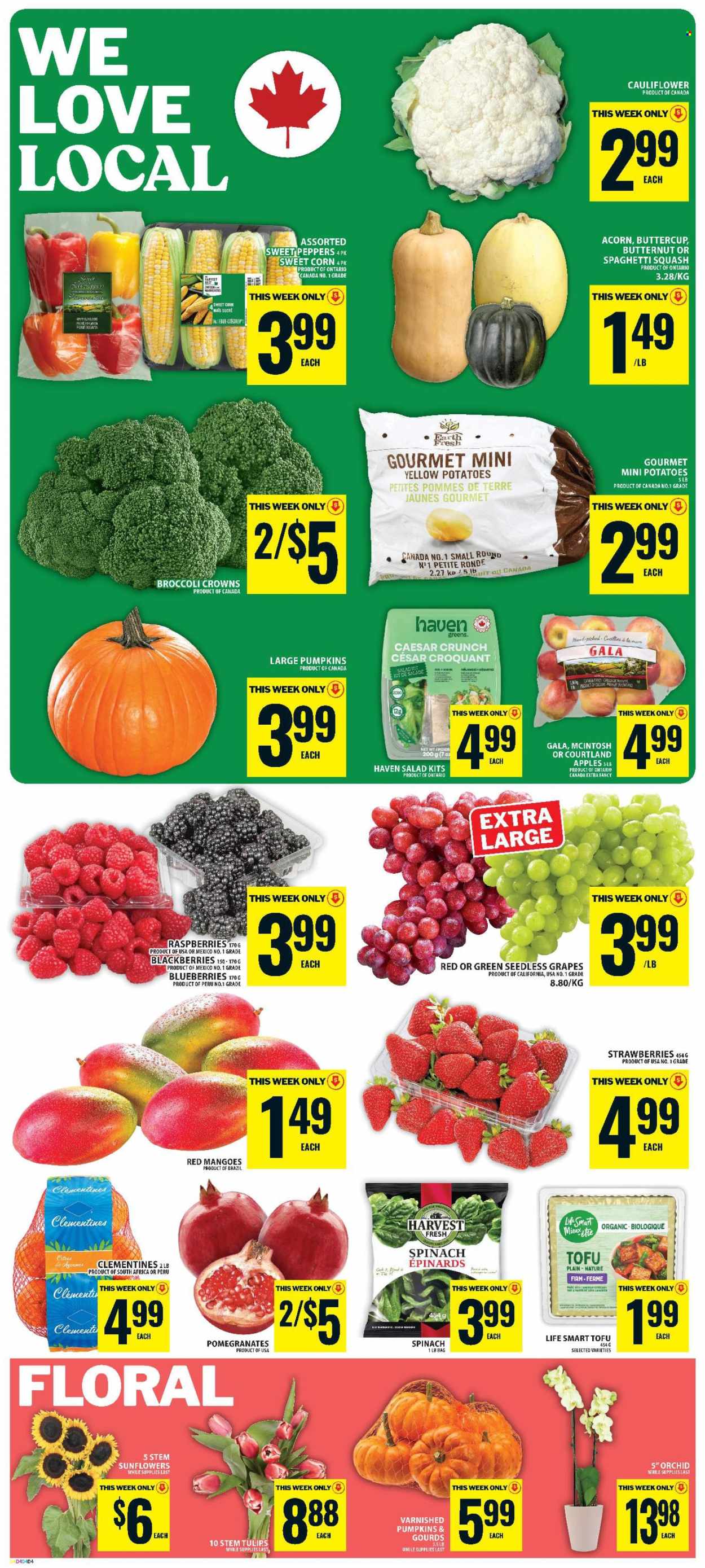 Food Basics flyer - September 24, 2026 - September 30, 2026. Page 3