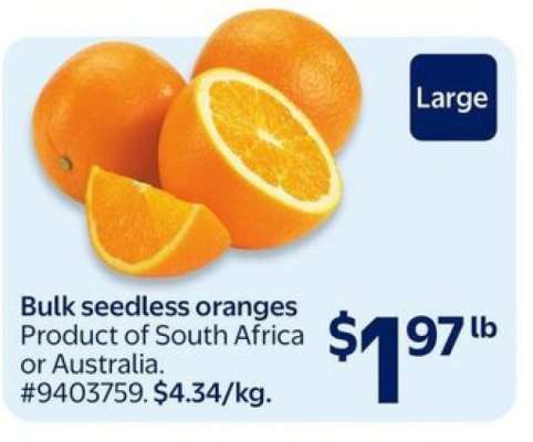 Bulk Seedless Oranges