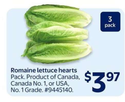 Romaine Lettuce Hearts
