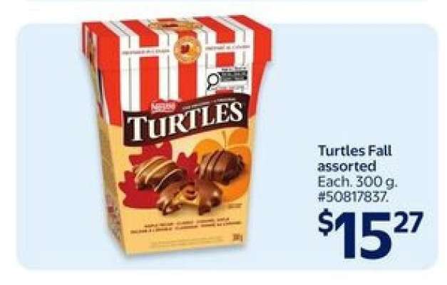 Turtles Fall assorted