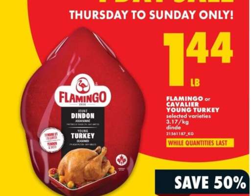Flamingo or Cavalier Young Turkey