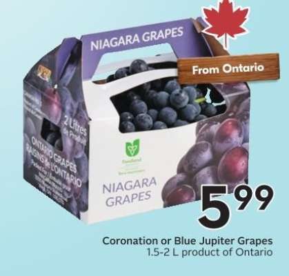 Coronation or Blue Jupiter Grapes