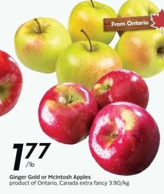 Ginger Gold or McIntosh Apples