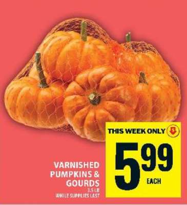 Varnished Pumpkins & Gourds