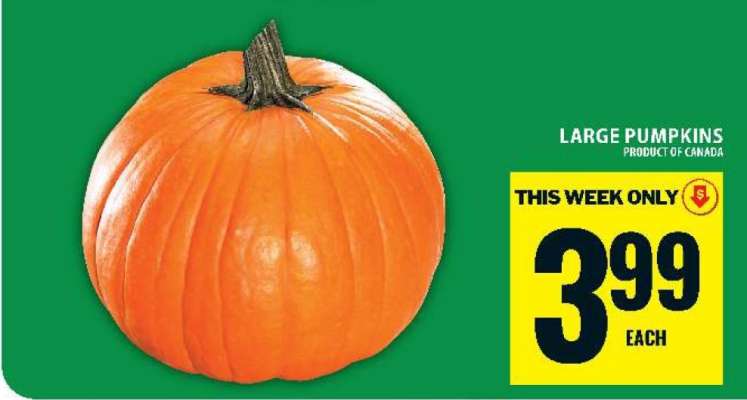 Large Pumpkins