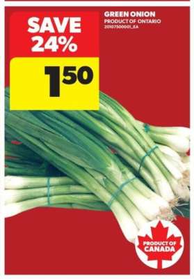 Green Onion