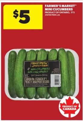 FARMER'S MARKET MINI CUCUMBERS