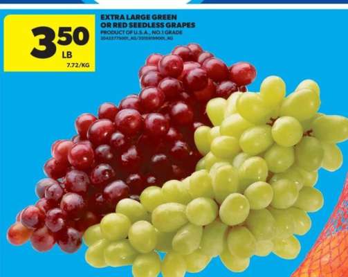 EXTRA LARGE GREEN OR RED SEEDLESS GRAPES