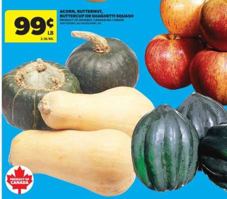 ACORN, BUTTERNUT, BUTTERCUP or SPAGHETTI SQUASH