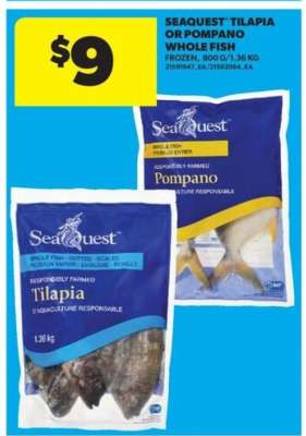 Seaquest Tilapia or Pompano Whole Fish