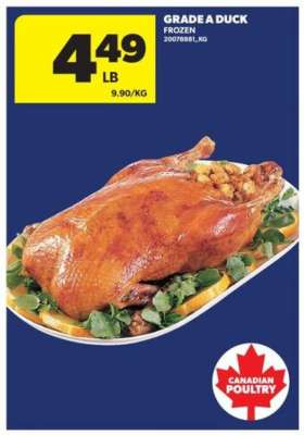 GRADE A DUCK
