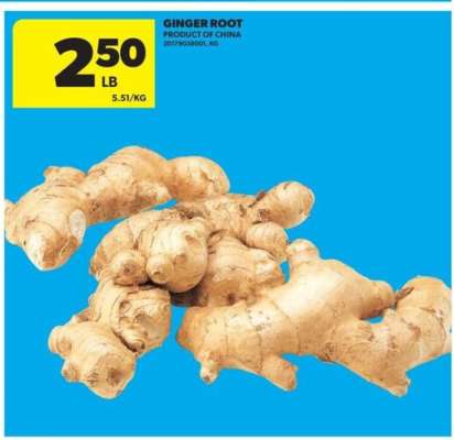 GINGER ROOT