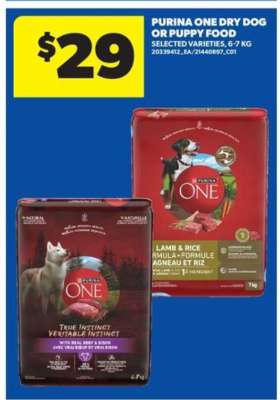 Purina One Dry Dog or Puppy Food