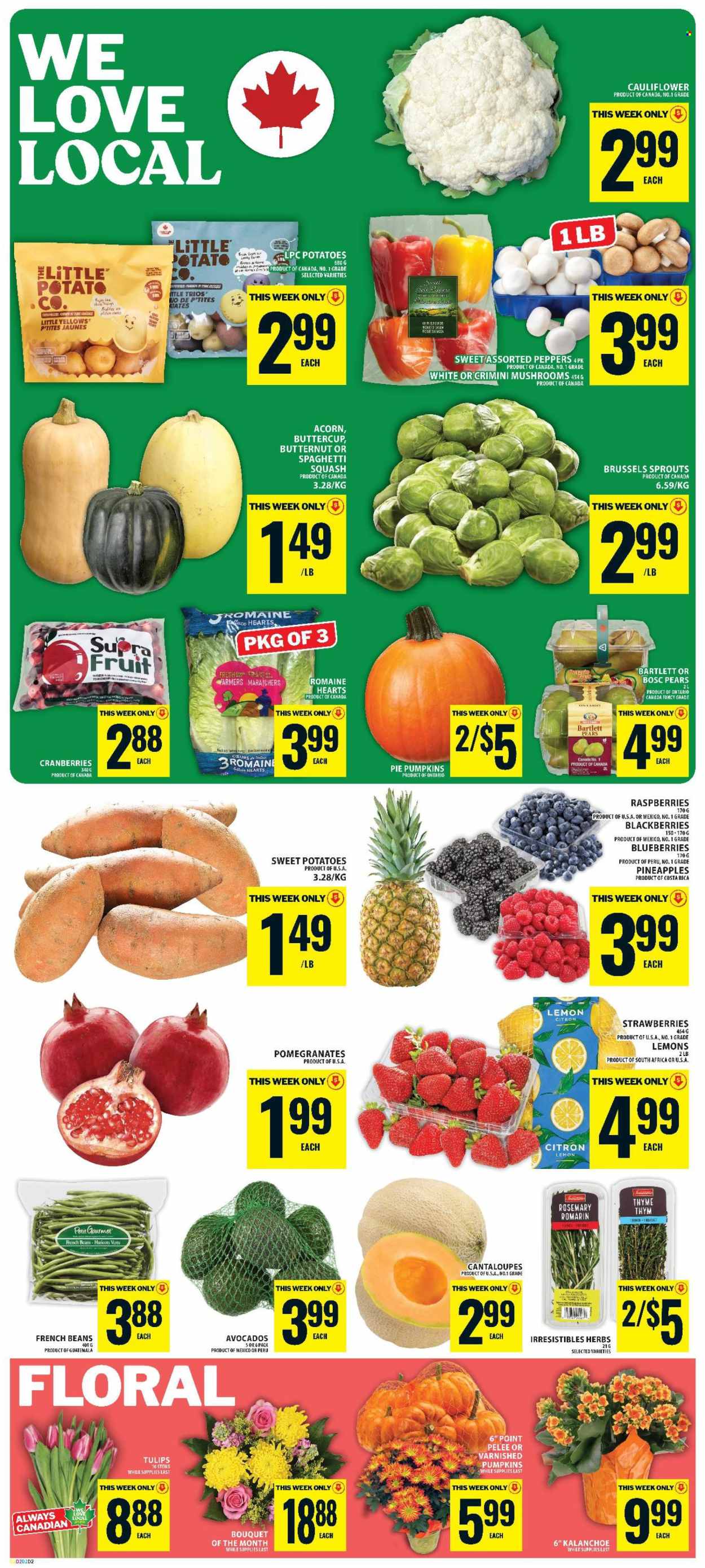 Food Basics flyer - October 01, 2026 - October 07, 2026. Page 3
