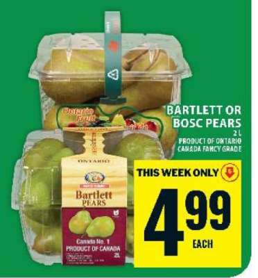 BARTLETT OR BOSC PEARS