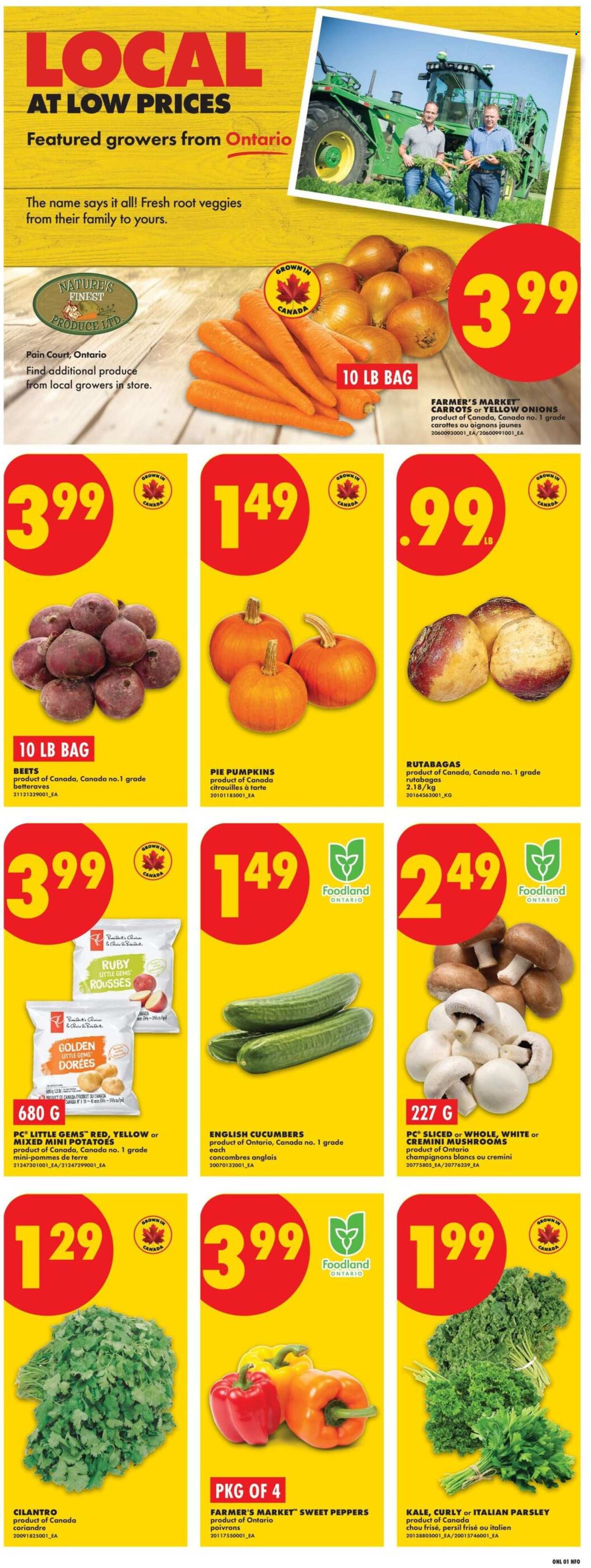 No Frills flyer - October 01, 2026 - October 07, 2026. Page 3