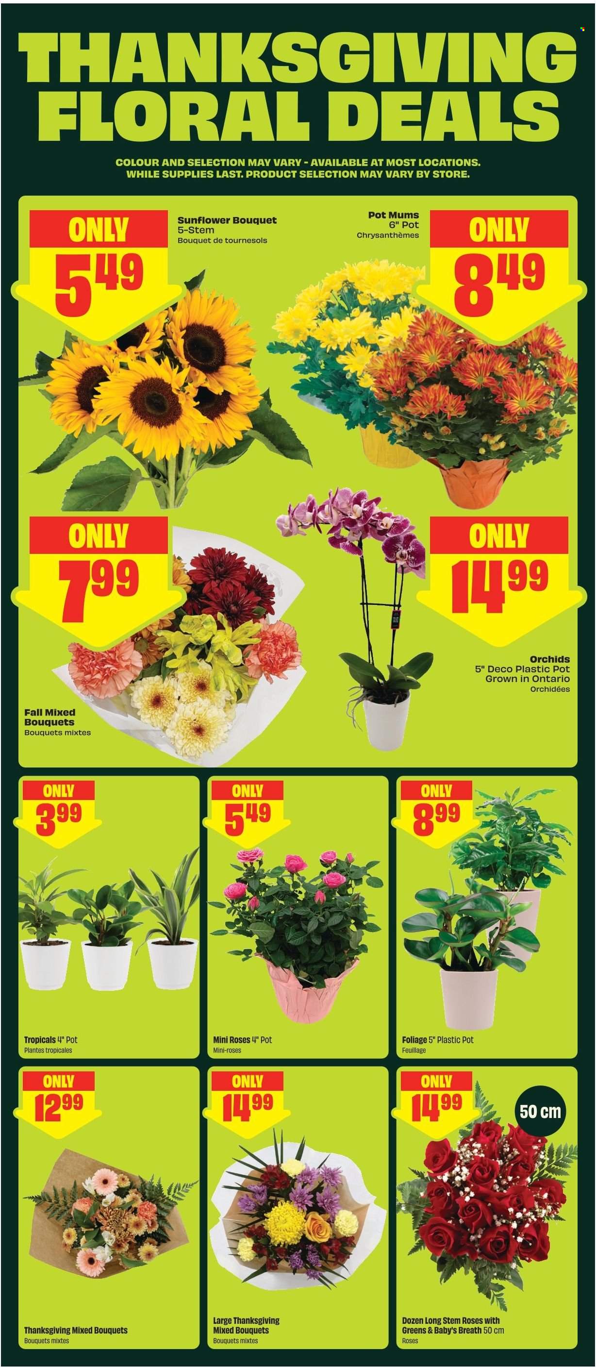 Chalo! FreshCo. flyer - October 01, 2026 - October 07, 2026. Page 6