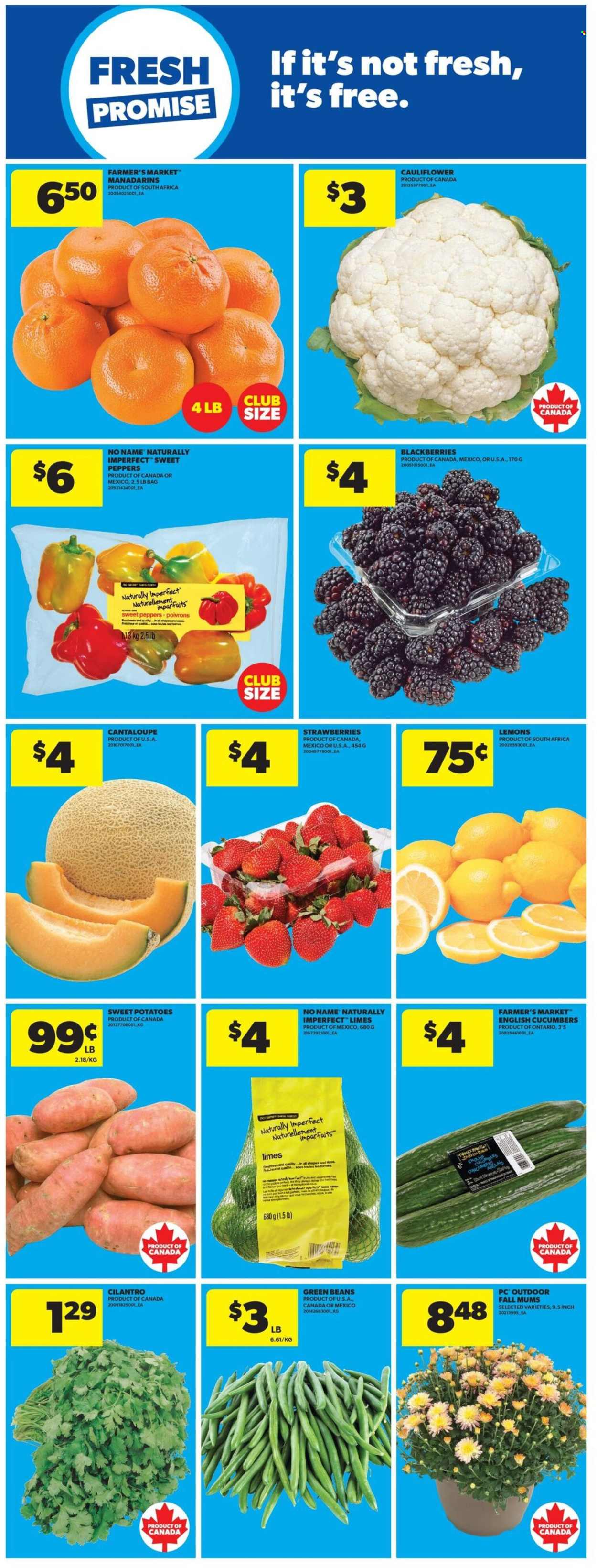 Real Canadian Superstore flyer - October 01, 2026 - October 07, 2026. Page 24