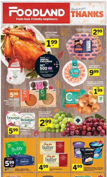 thumbnail - Foodland flyer